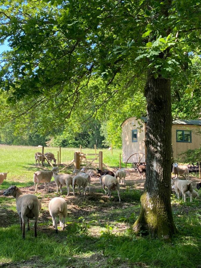 Coachroad Shepherds Huts Petworth Exterior photo